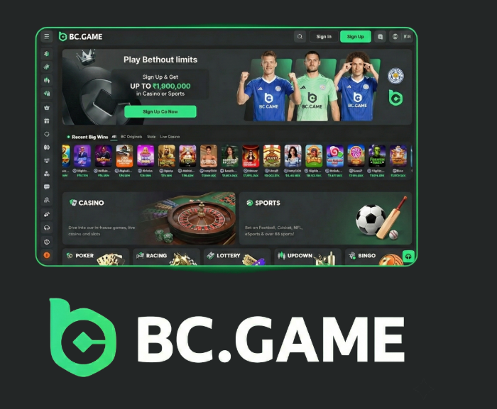 Step-by-Step Guide to the BC.Game Registration Process